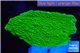 Montipora capricornis green 2-3 cm WYSIWYG acclimaté